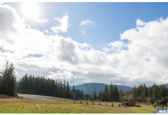 NKA  Highway 101 Lot 3