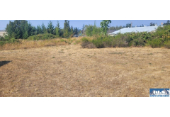 283  Avis