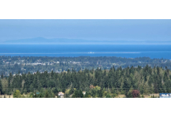 242  Forest Haven Drive